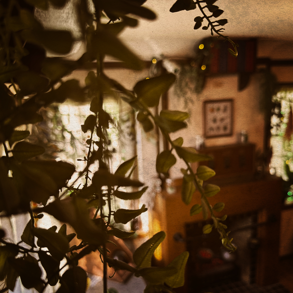 Apothecary